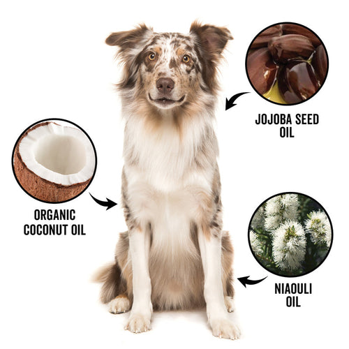 DOGDAYS De-Shedding Shampoo — Deep Moisturizing Deshedding Formula for Dogs