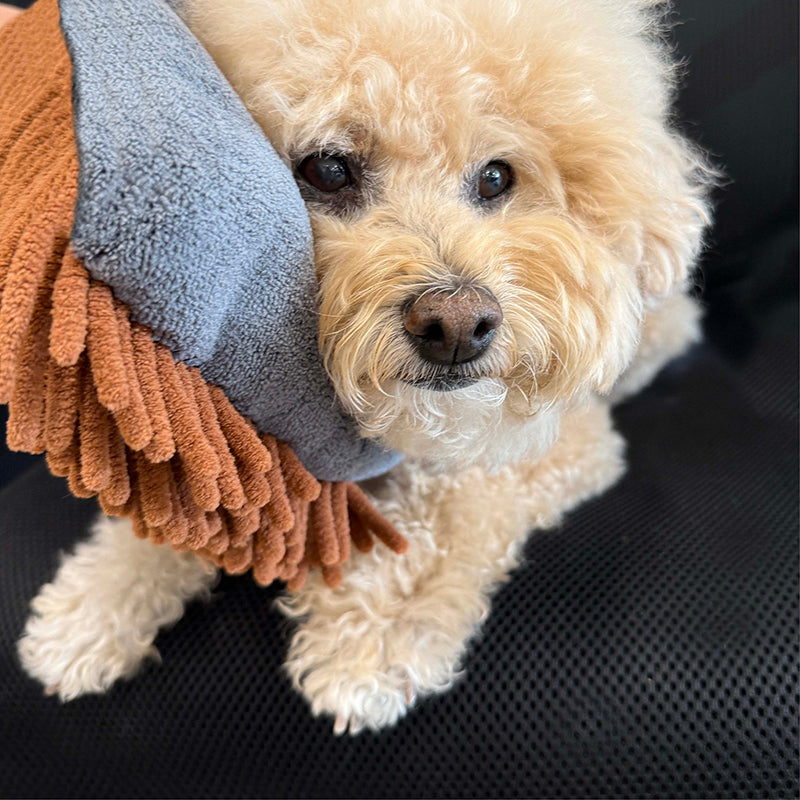 The Mitt Kit Waterless Dog Grooming Kit