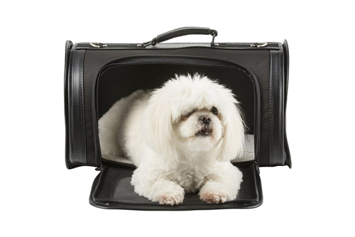 Petote Kelle Bag Airline Approved Dog Carrier - Black