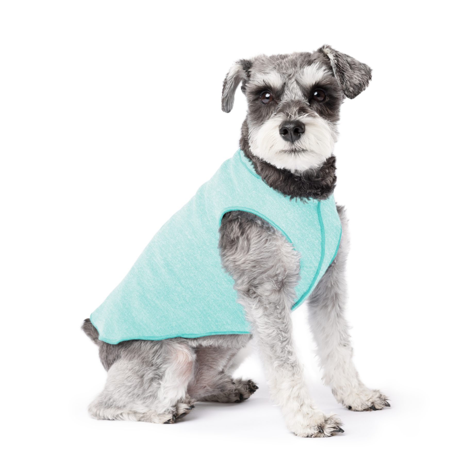 Sun Shield Dog Tee - Baja Beach