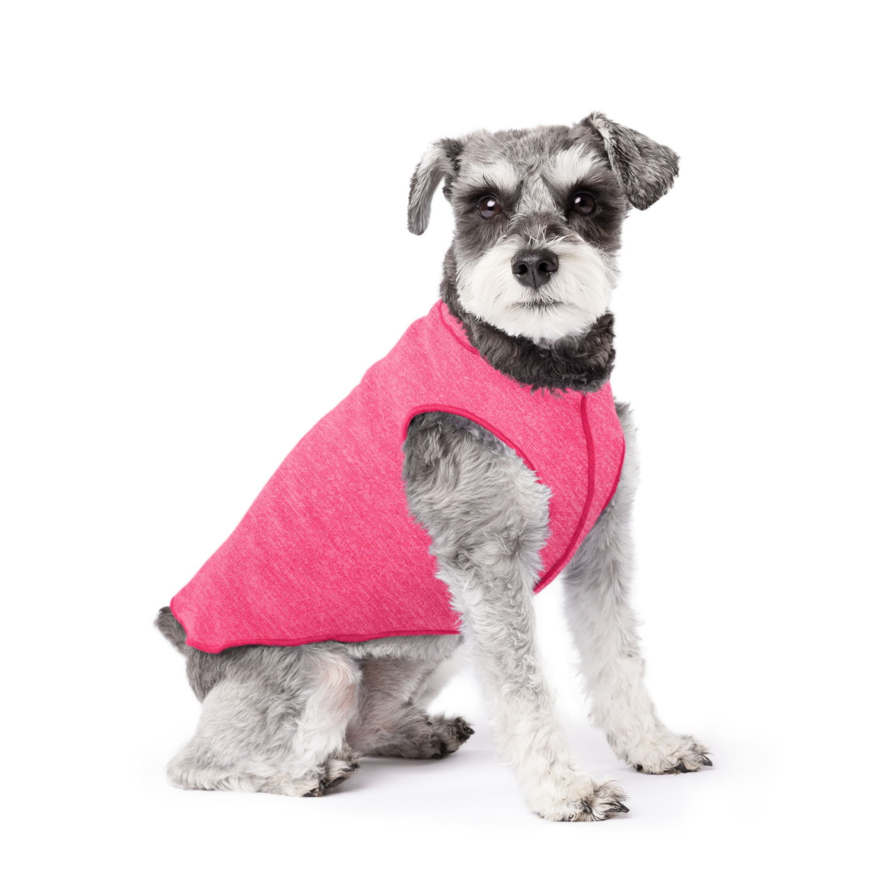 Sun Shield Dog Tee - Flamingo