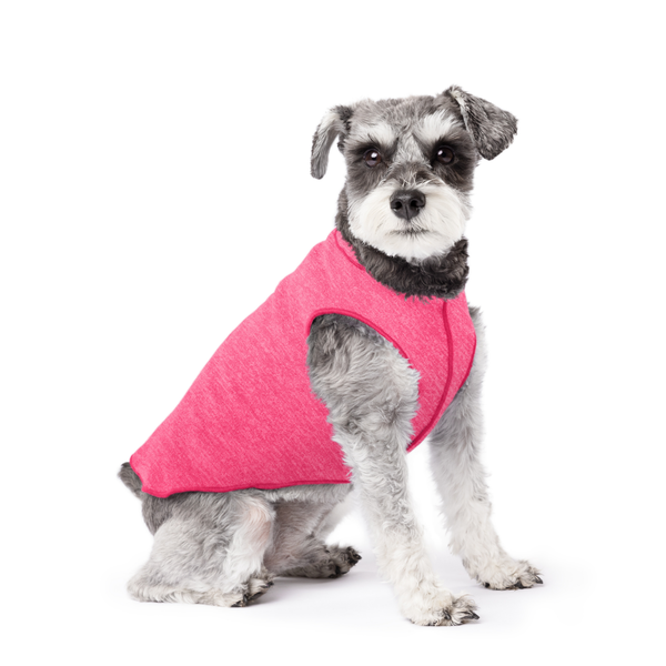 Sun Shield Dog Tee - Flamingo