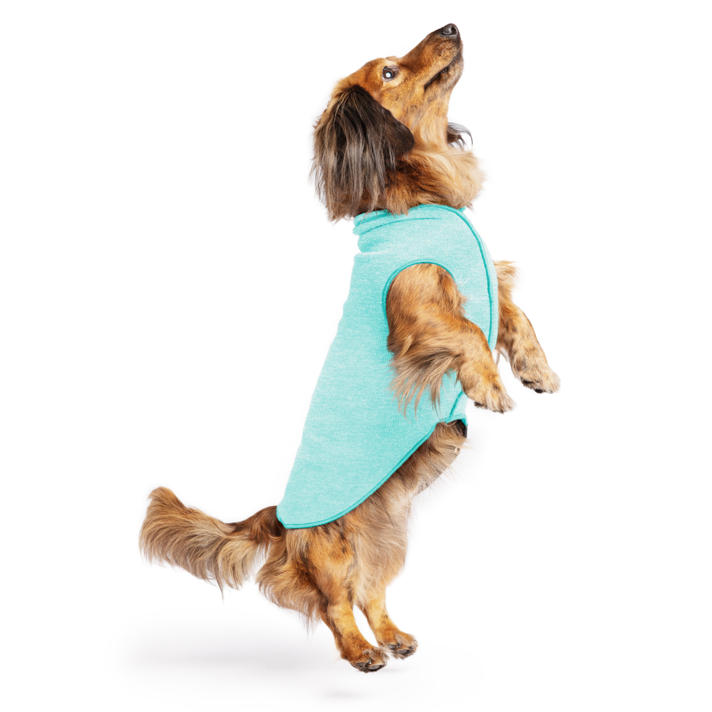 Sun Shield Dog Tee - Baja Beach