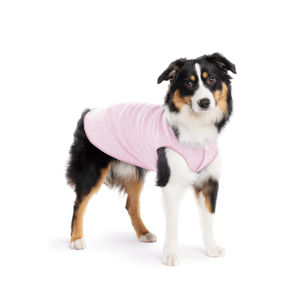 Sun Shield Dog Tee - Pink Lemonade