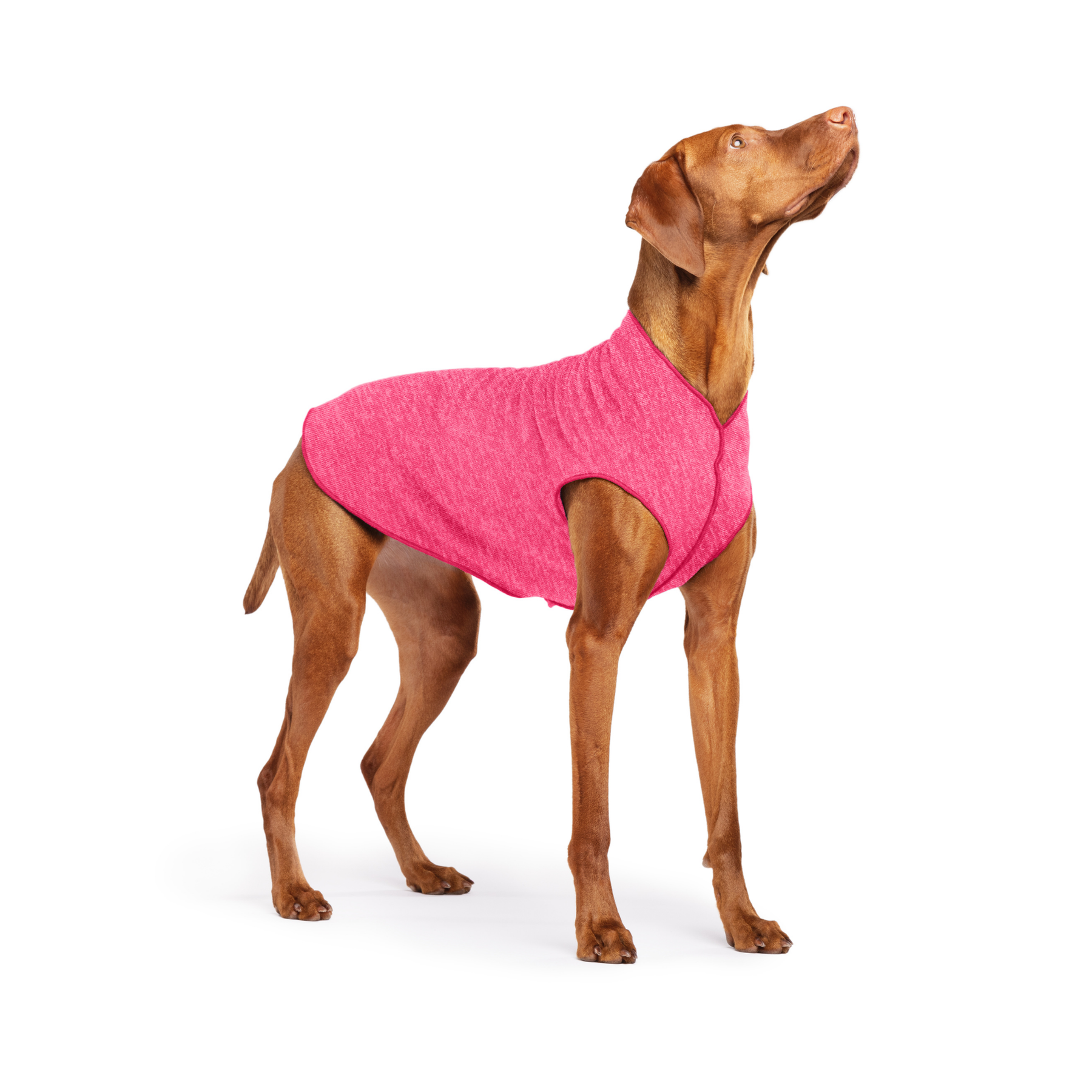 Sun Shield Dog Tee - Flamingo