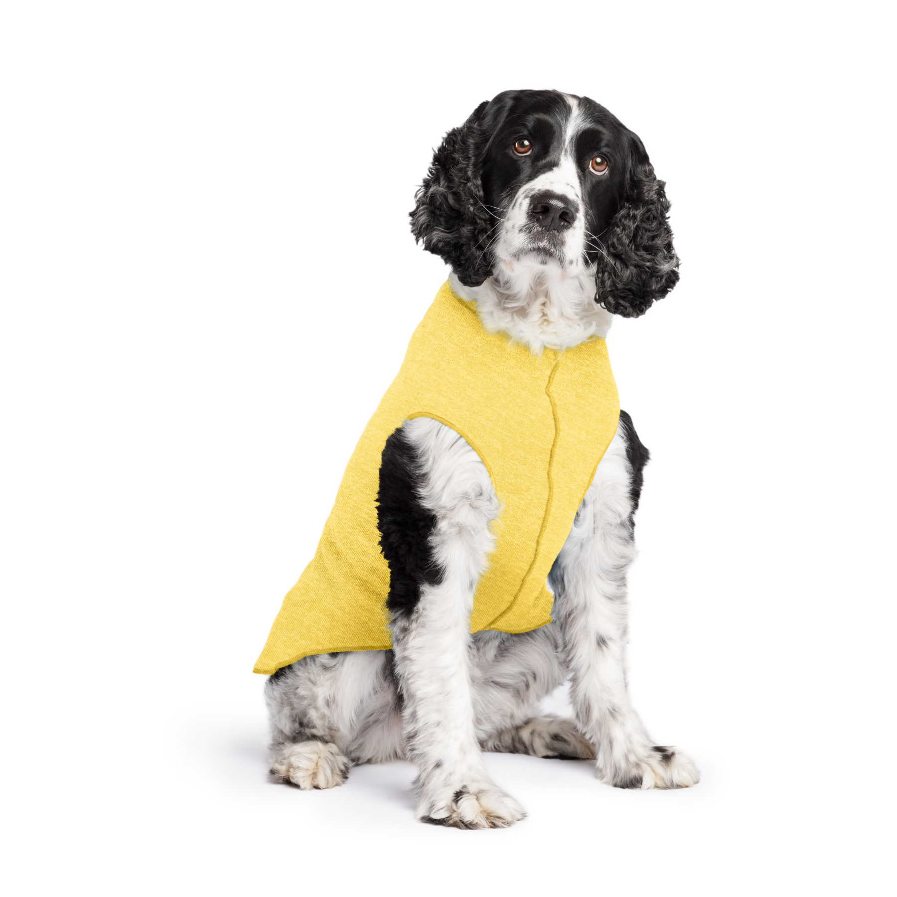 Sun Shield Dog Tee - Butter