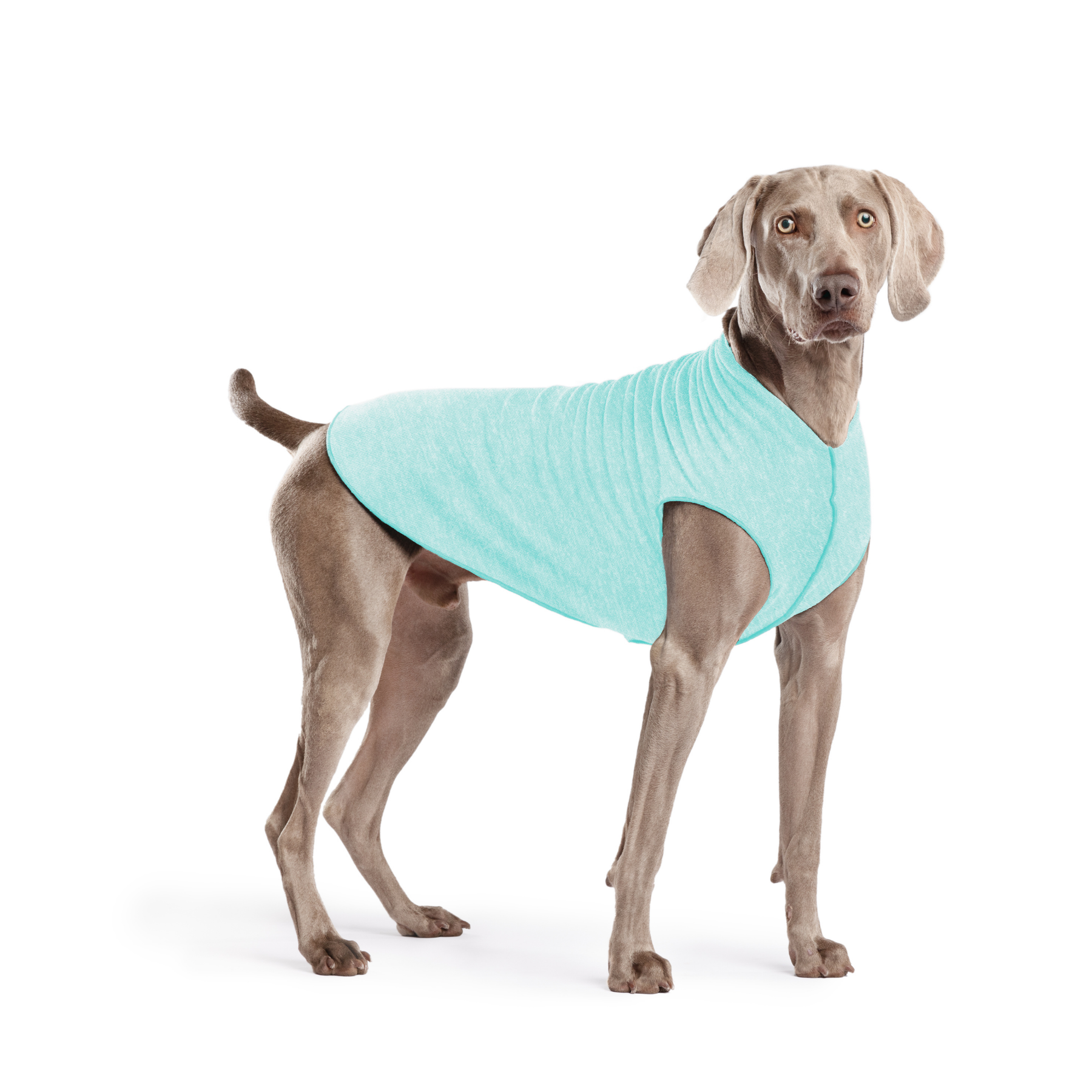 Sun Shield Dog Tee - Baja Beach