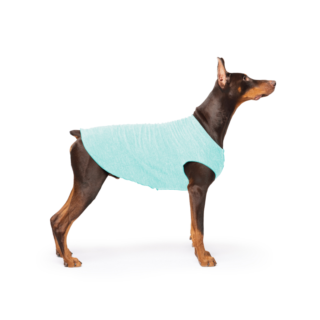 Sun Shield Dog Tee - Baja Beach