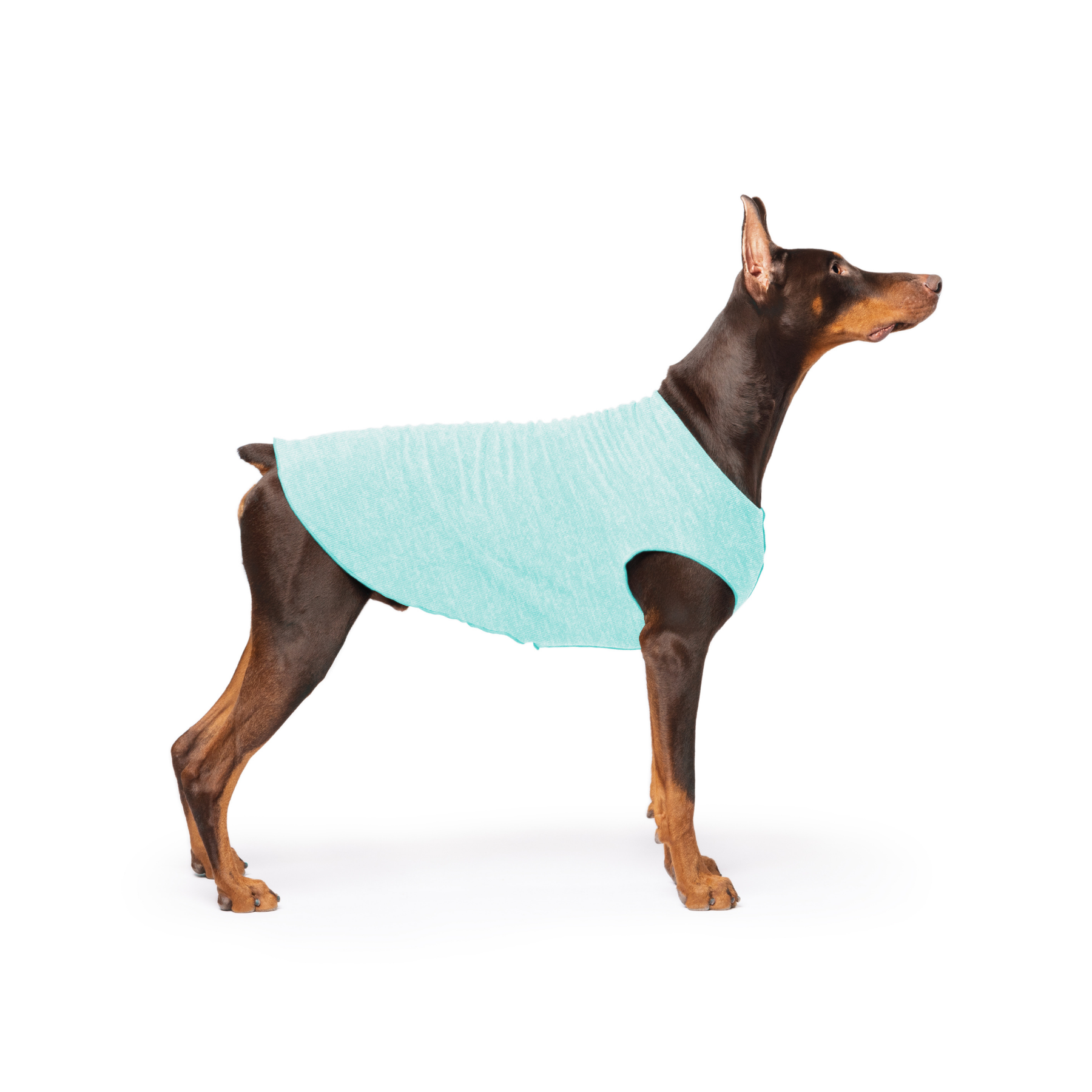 Sun Shield Dog Tee - Baja Beach