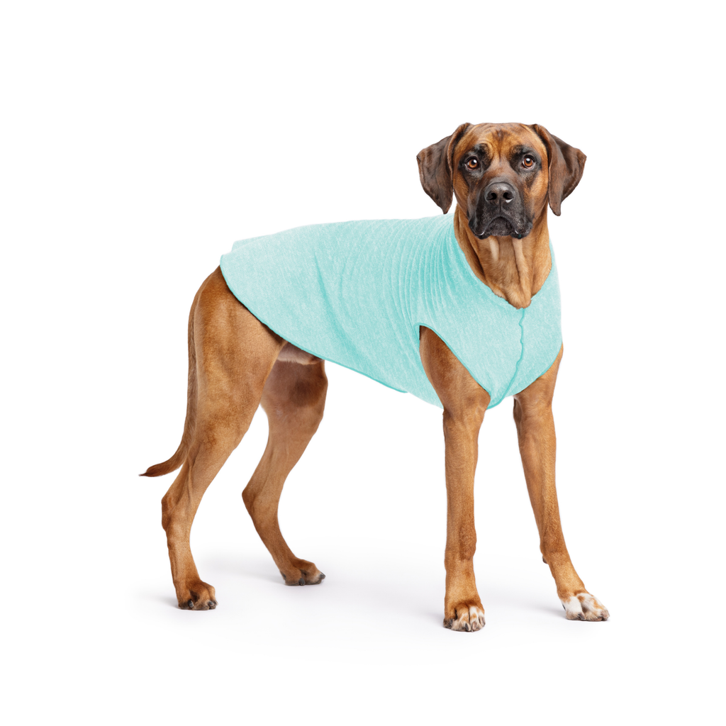 Sun Shield Dog Tee - Baja Beach