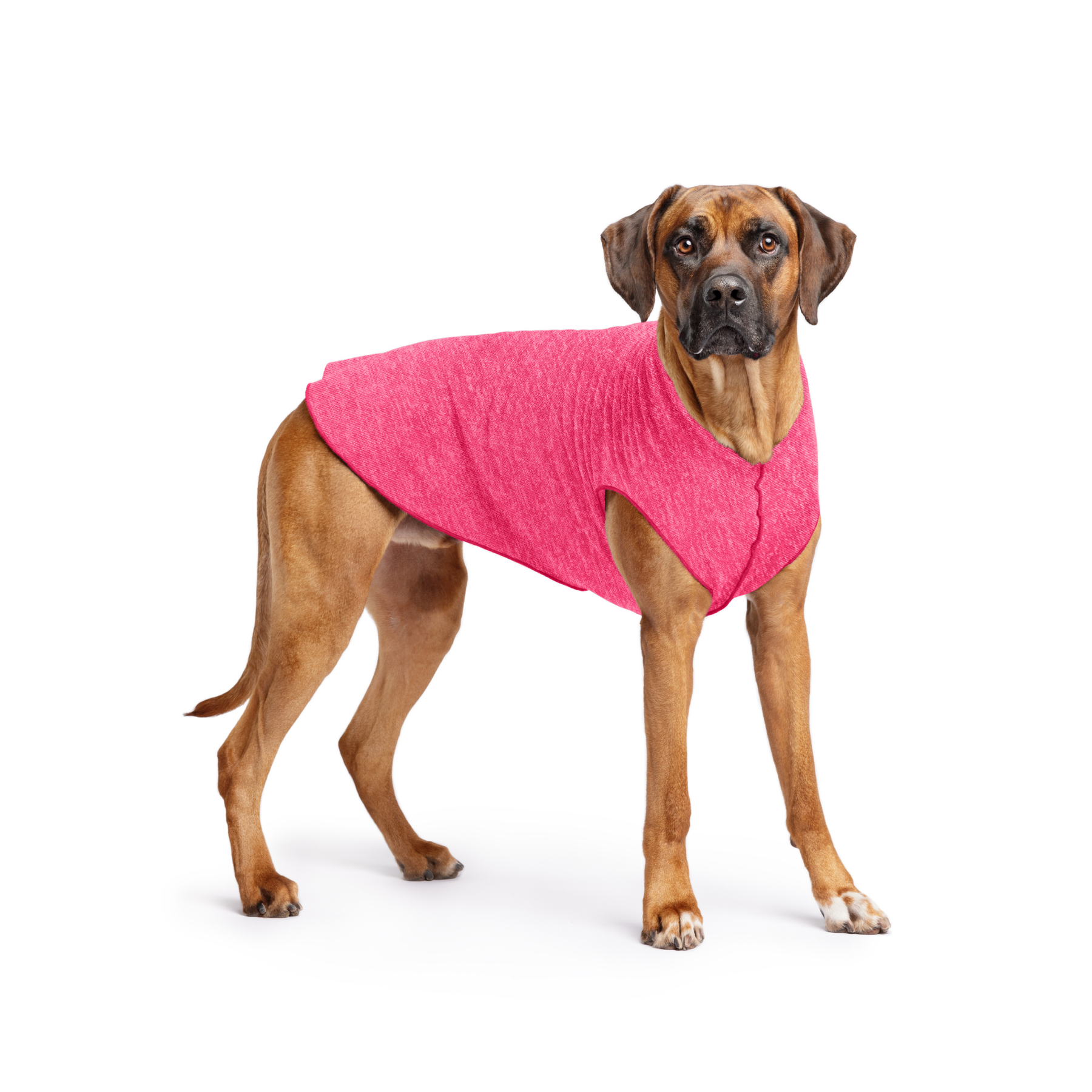 Sun Shield Dog Tee - Flamingo