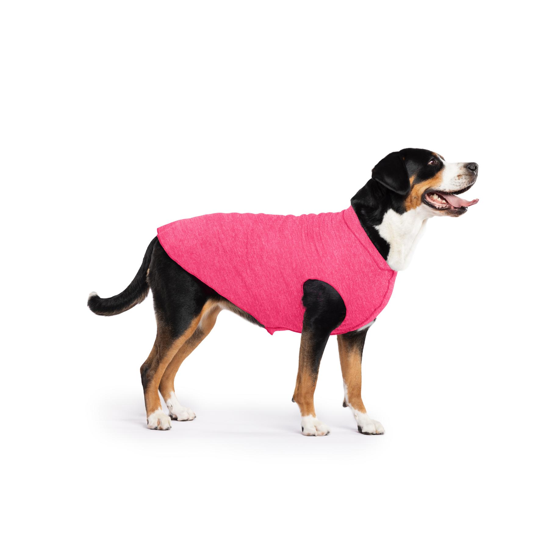 Sun Shield Dog Tee - Flamingo