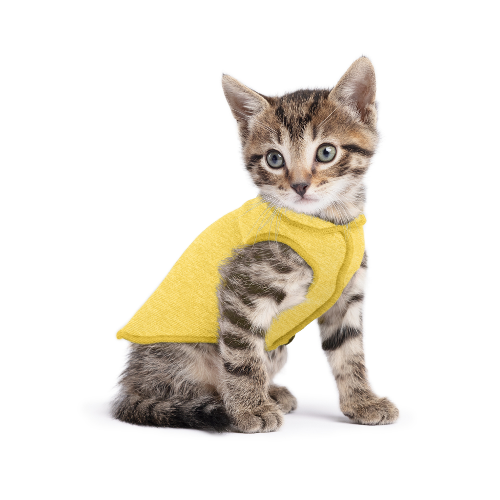 Sun Shield Dog Tee - Butter
