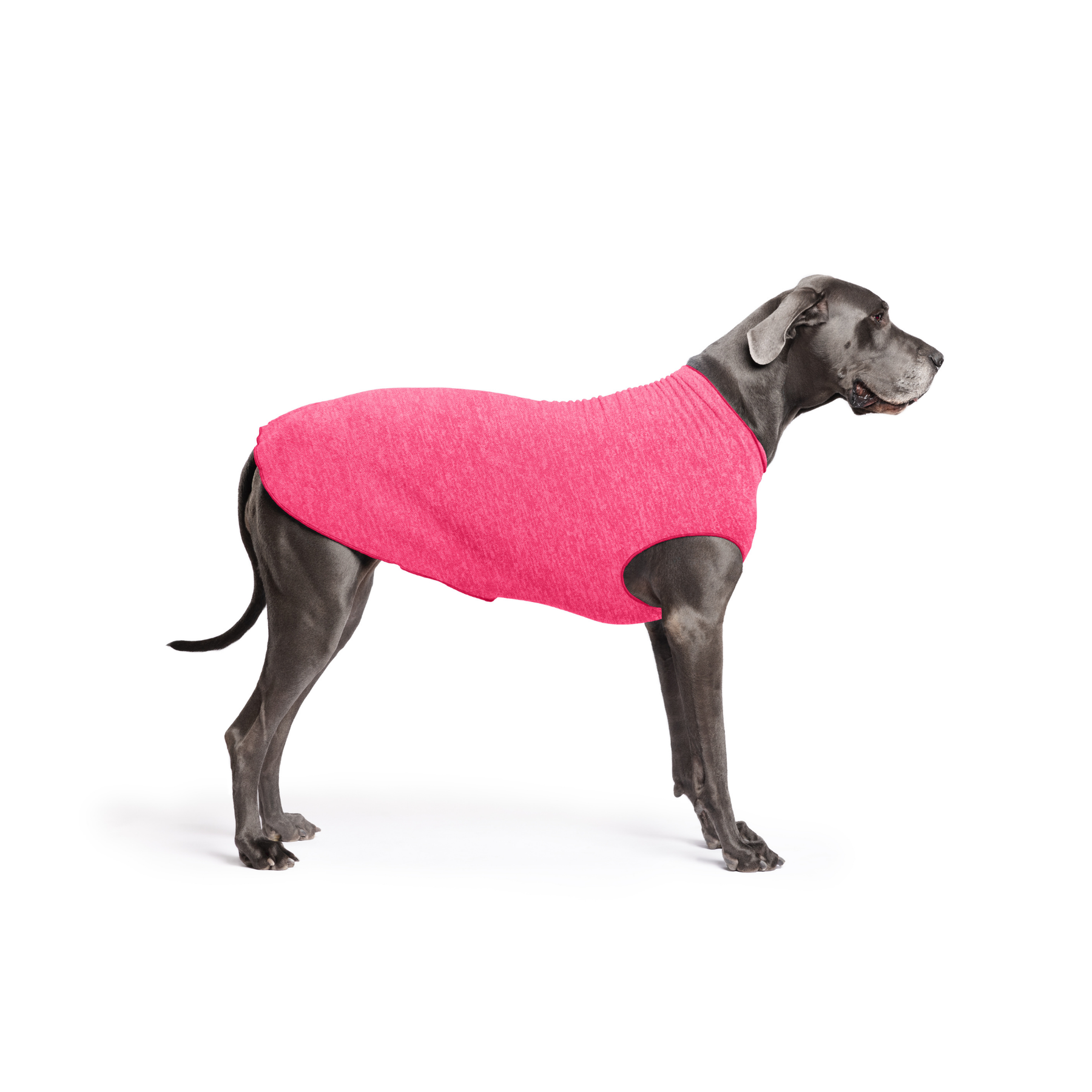 Sun Shield Dog Tee - Flamingo