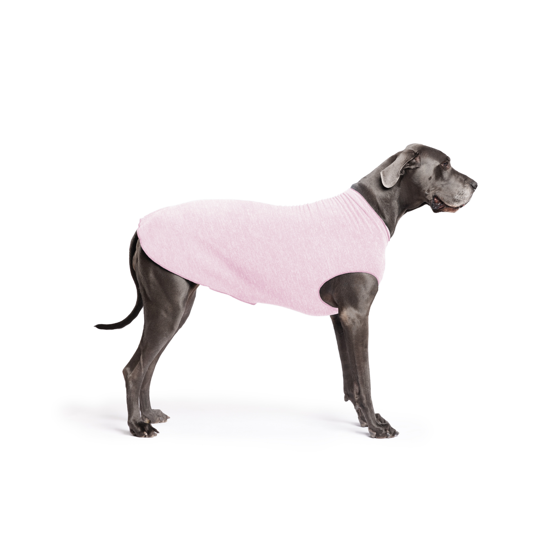 Sun Shield Dog Tee - Pink Lemonade