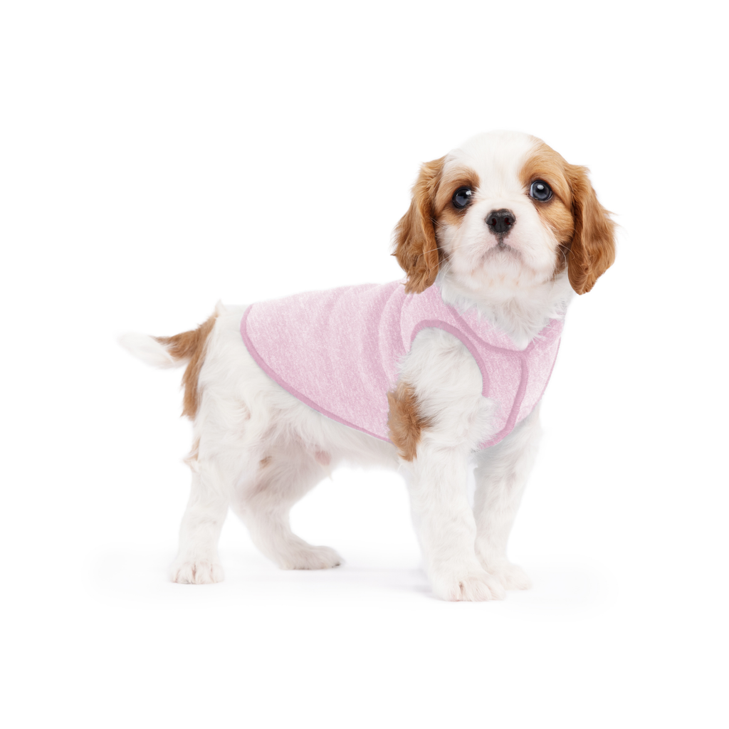 Sun Shield Dog Tee - Pink Lemonade