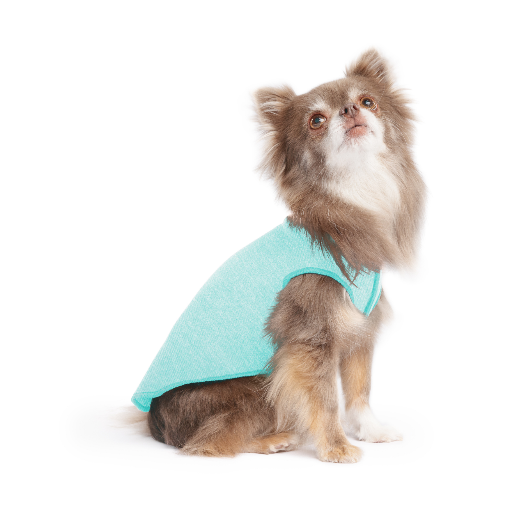 Sun Shield Dog Tee - Baja Beach