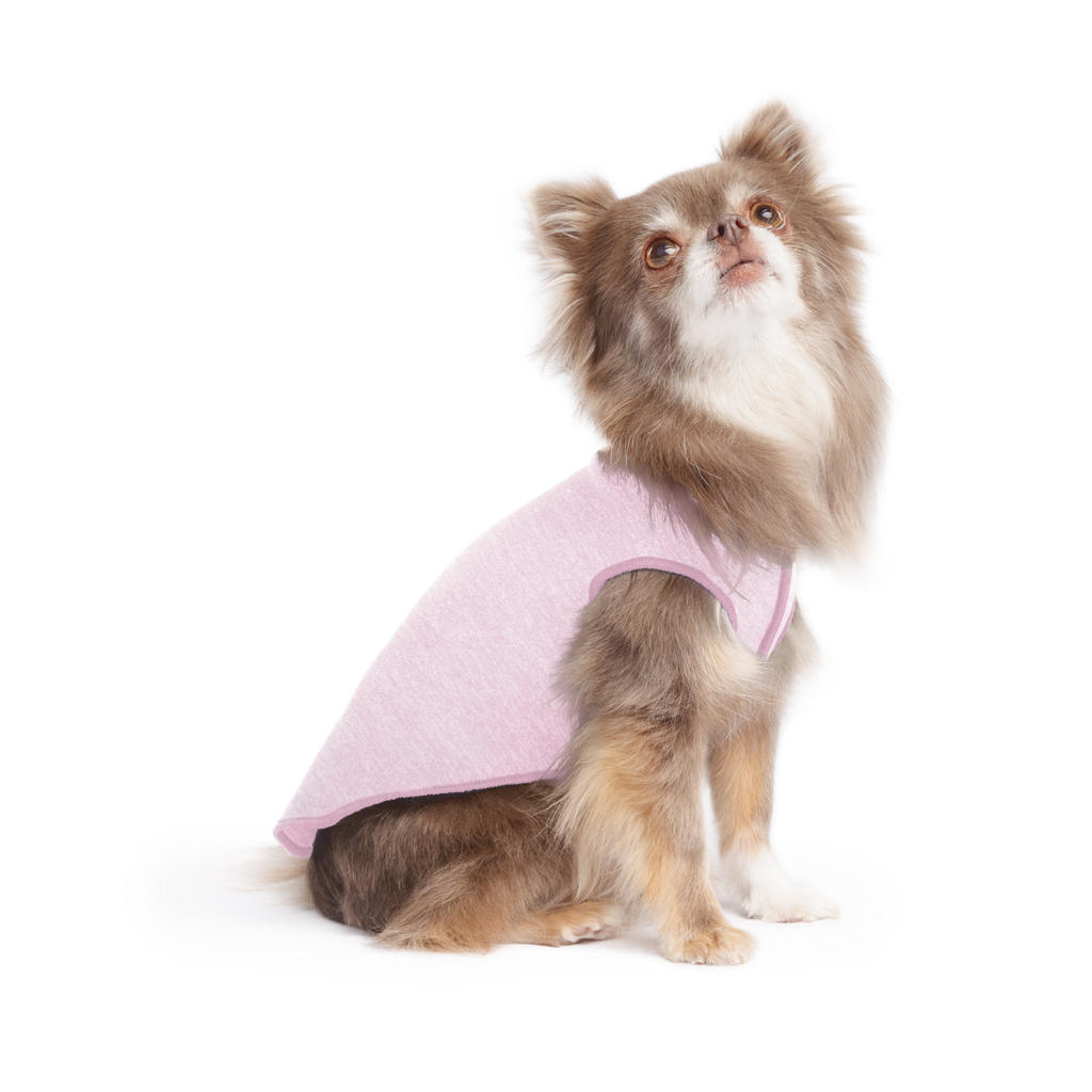 Sun Shield Dog Tee - Pink Lemonade