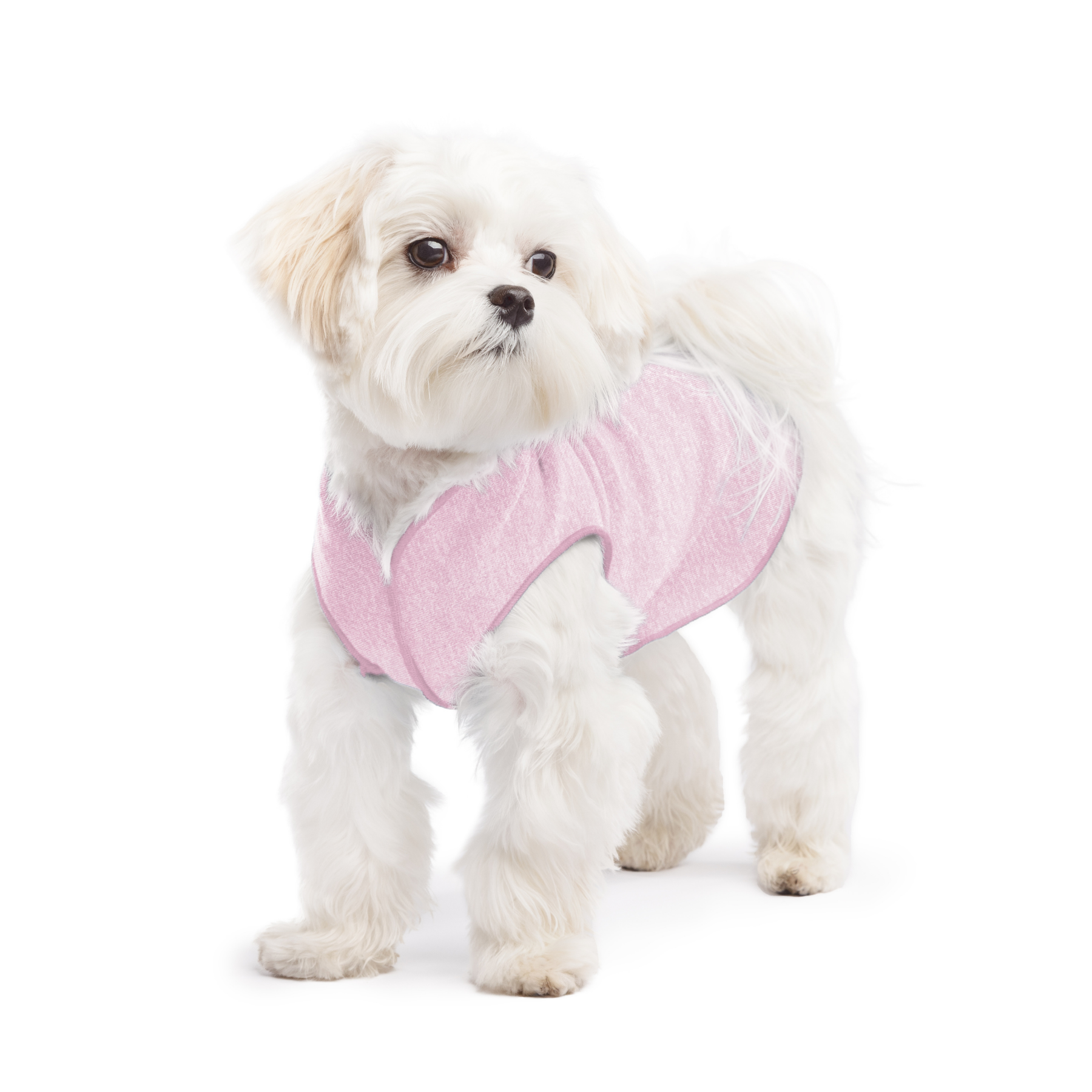 Sun Shield Dog Tee - Pink Lemonade