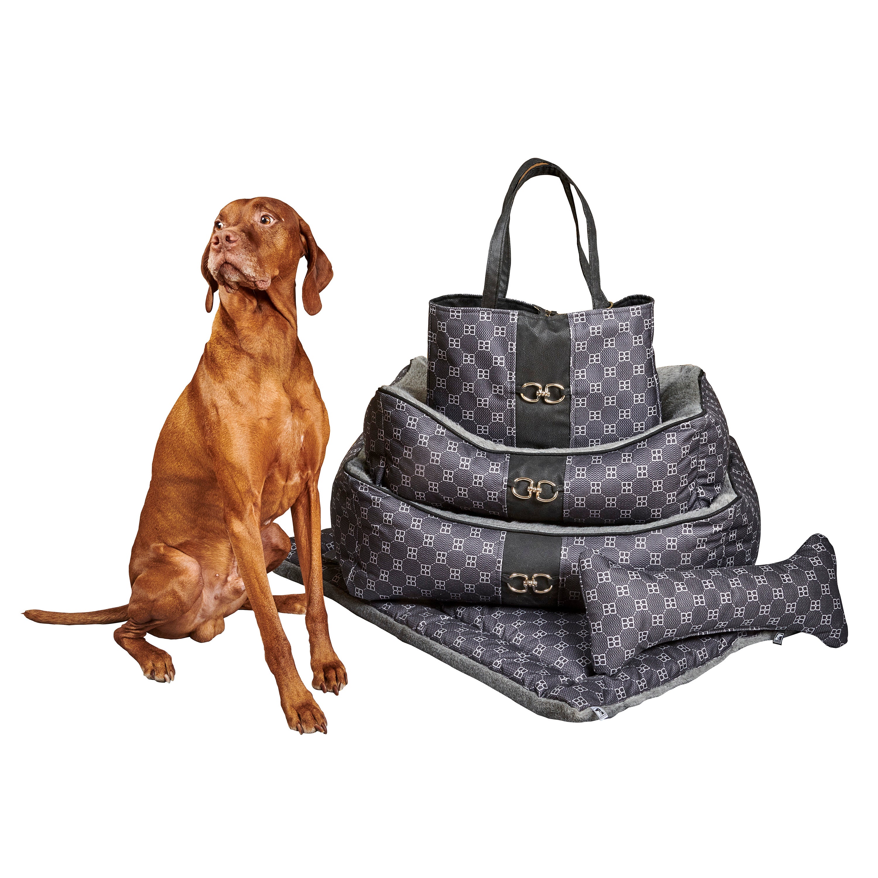 Carry-All Dog Carrier - Signature Noir