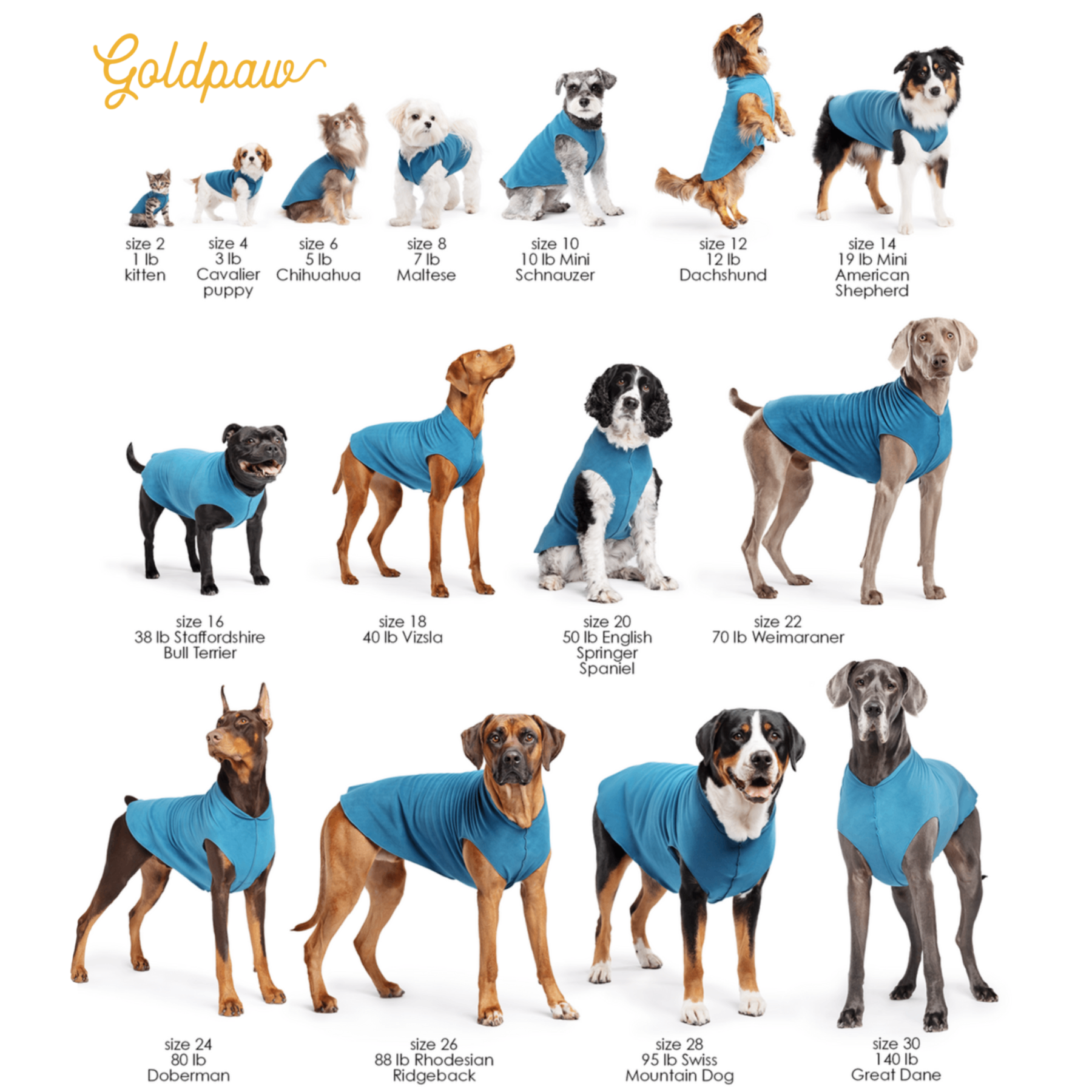 Sun Shield Dog Tee - Baja Beach