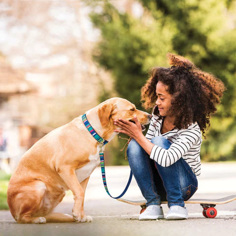Up Country Sutton Stripe Dog Leash