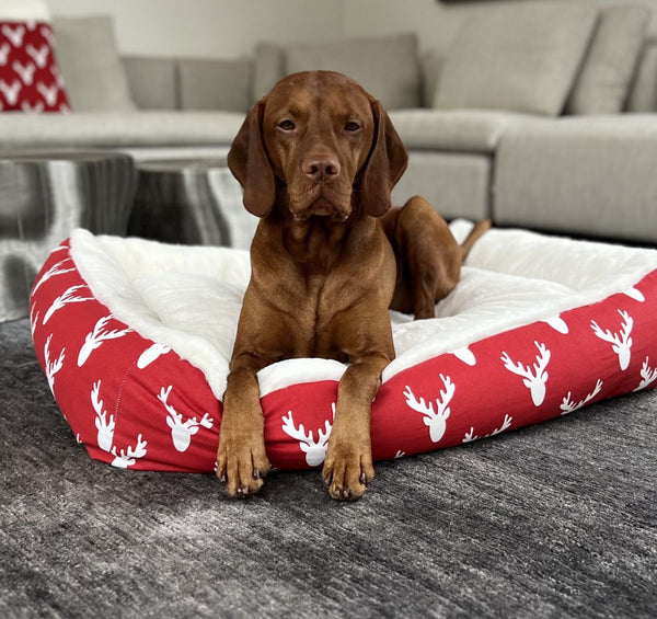 Bowsers Alpine Lounger Dog Bed - Antlers Red