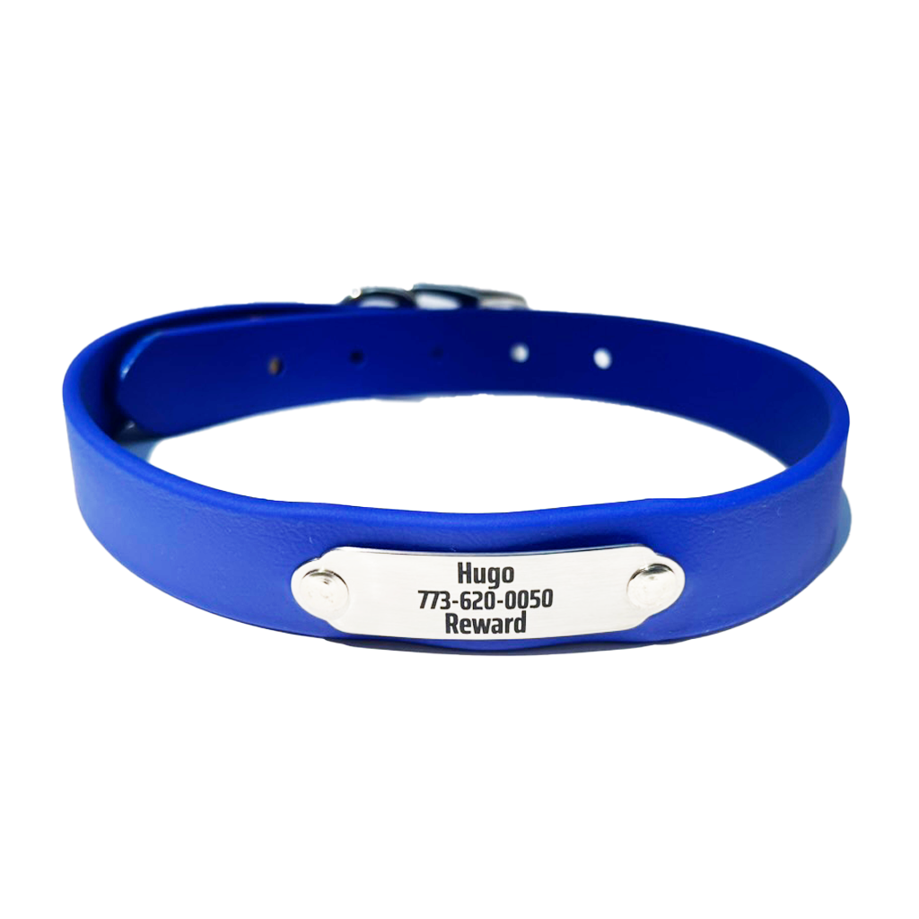Rita Bean Custom Engraved Nameplate Waterproof Dog Collars