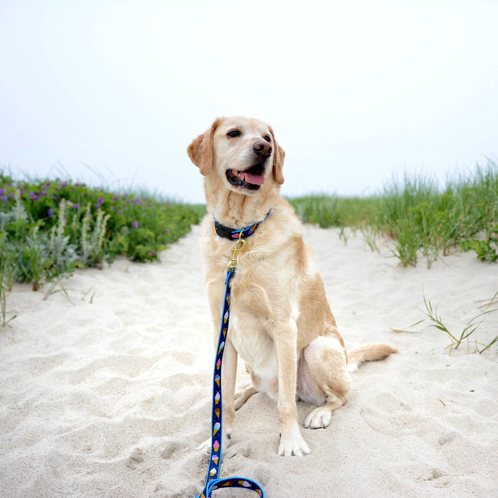 Blue dog collar with ice-cream pattern and matching leash
