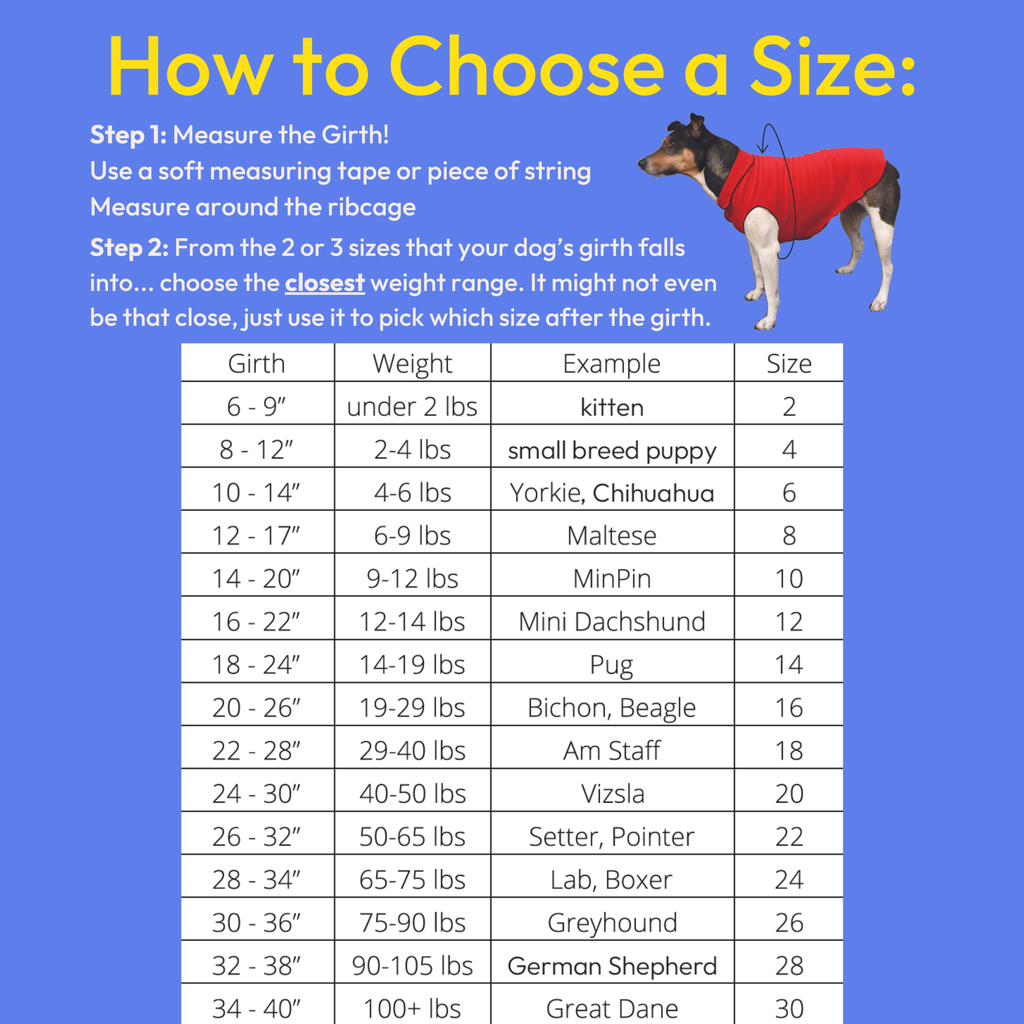 Sun Shield Dog Tee - Baja Beach