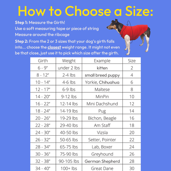 Sun Shield Dog Tee - Flamingo