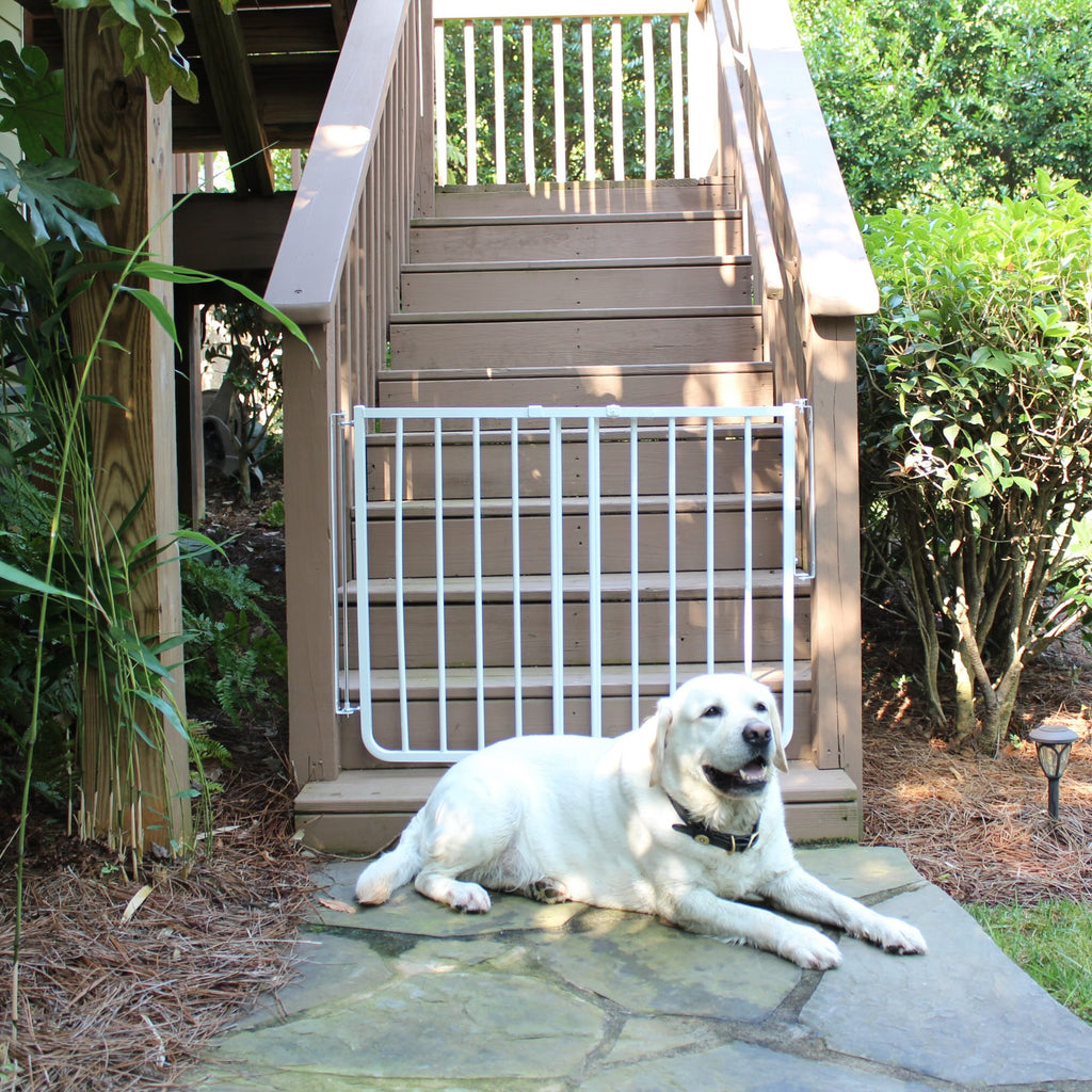 Outdoor Dog Safety Gate (Aluminum) - Black