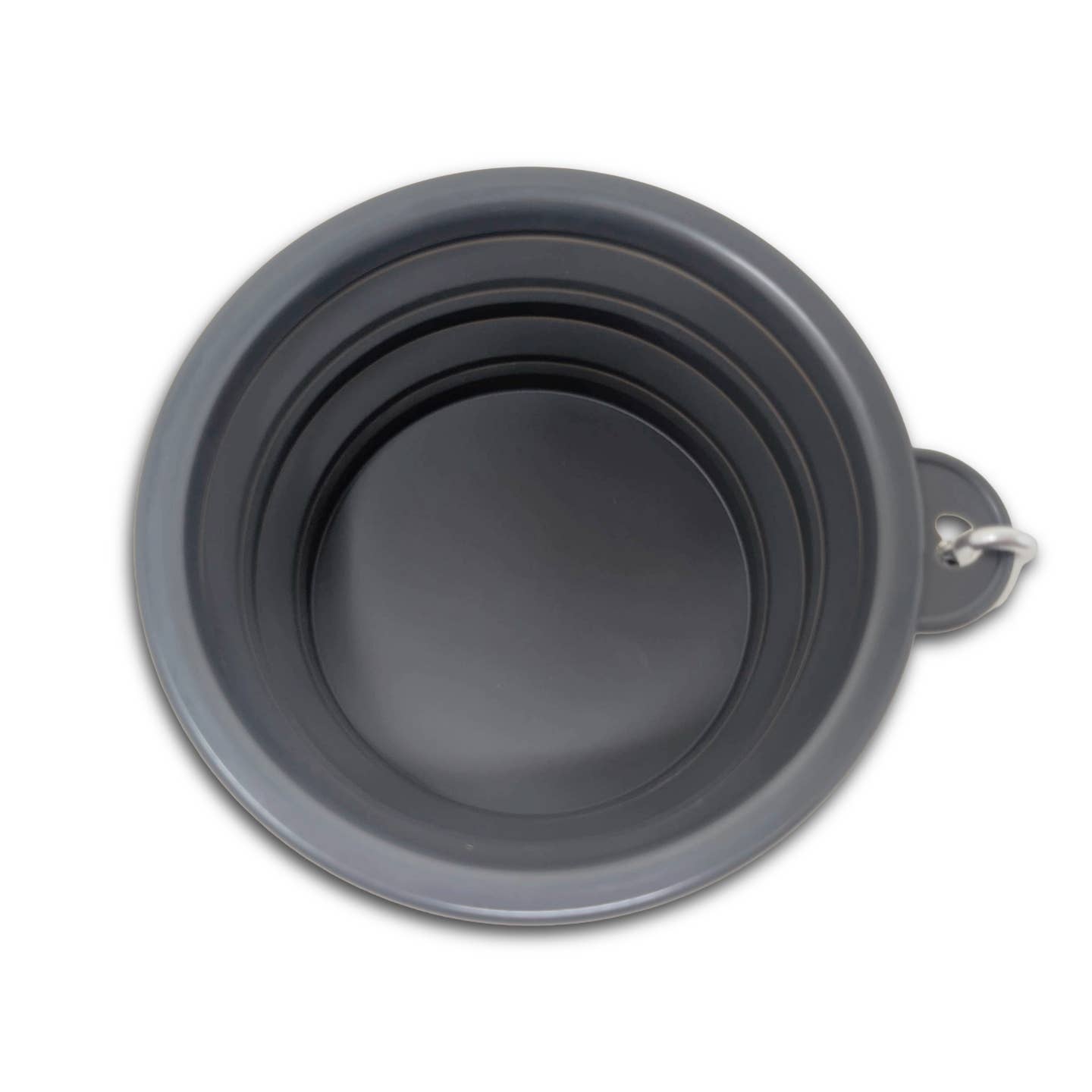 Collapsible Dog Water Bowl