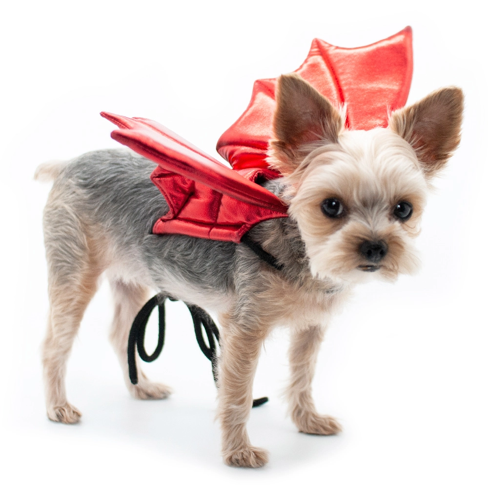 Dragon Wings Dog Halloween Costume - Red