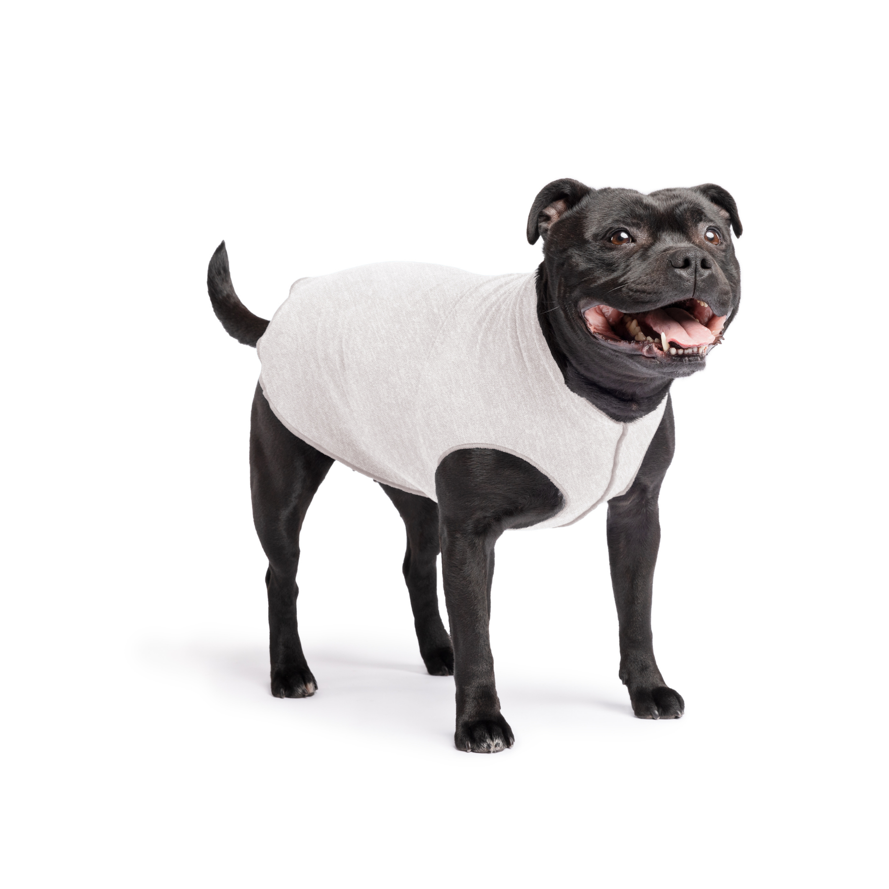 Sun Shield Dog Tee - Pebble Grey