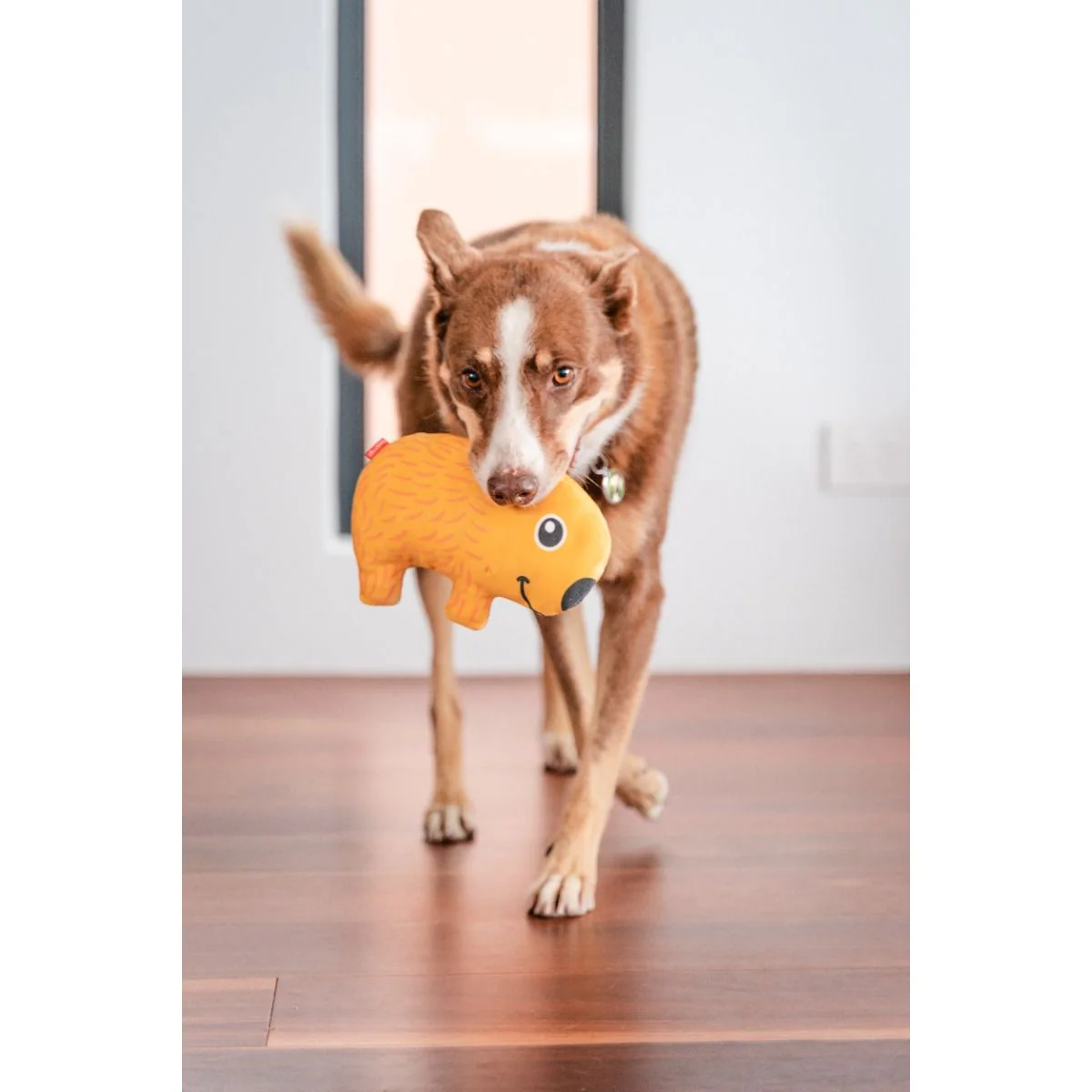 Red Dingo Durables Plush Dog Toy - Wombat