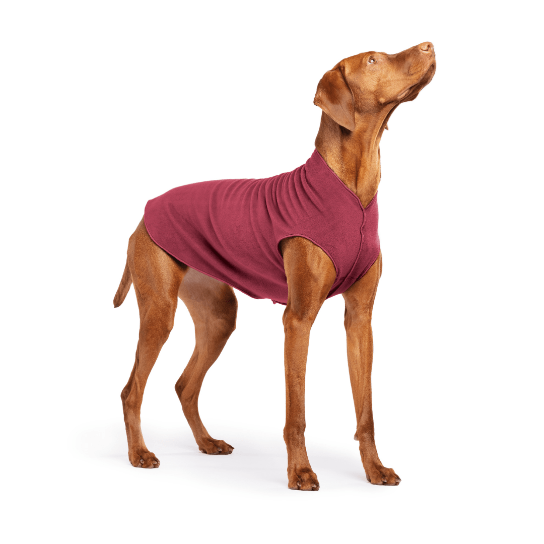 Gold Paw Stretch Fleece Dog Coat - Red Velvet