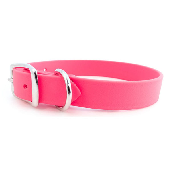 Rita Bean Custom Engraved Waterproof Standard Buckle Dog Collars