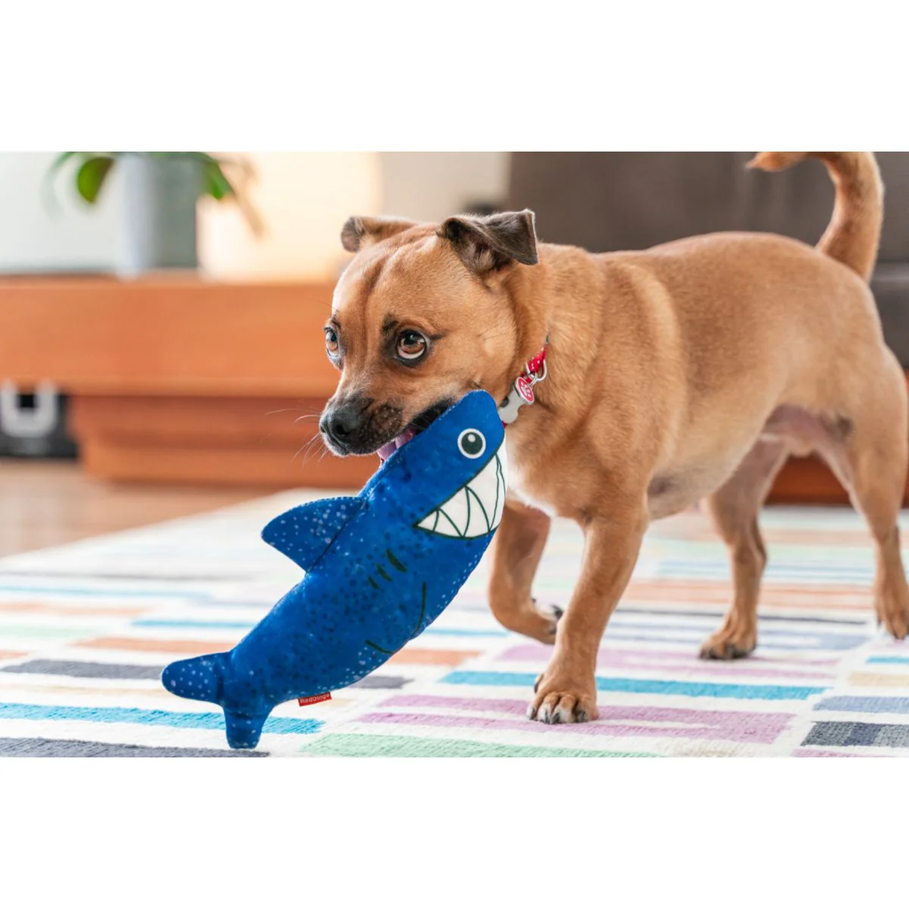 Red Dingo Durables Plush Dog Toy - Shark