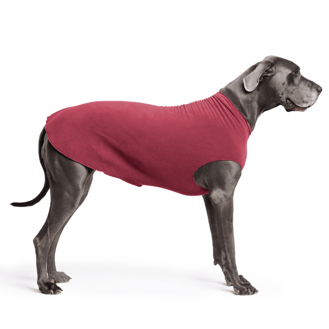 Gold Paw Stretch Fleece Dog Coat - Red Velvet