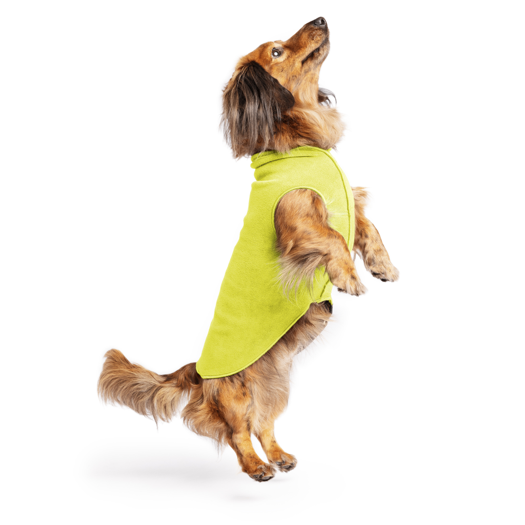 Gold Paw Stretch Fleece Dog Coat - Avocado