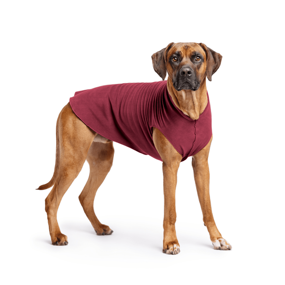 Gold Paw Stretch Fleece Dog Coat - Red Velvet