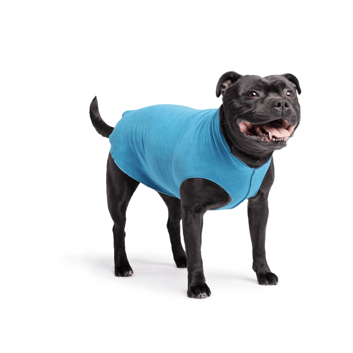 Gold Paw Stretch Fleece Dog Coat - Marine Blue