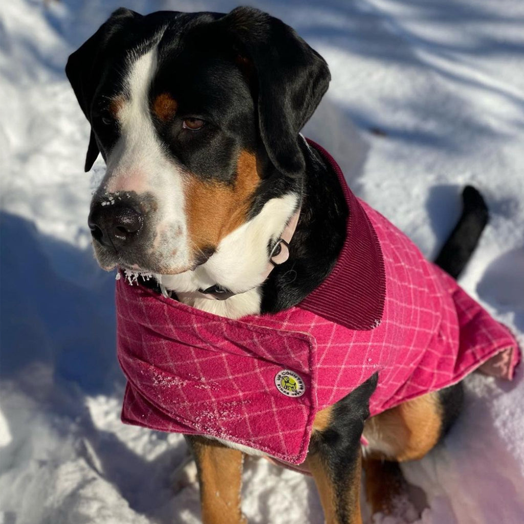 Up Country Tweed Dog Coat - Pink