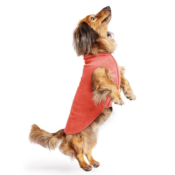 Gold Paw Stretch Fleece Dog Coat - Paprika