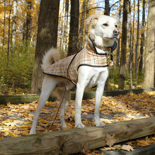 Up Country Plaid Diamond Quilted Dog Coat – Tan
