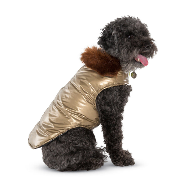 Up Country Metallic Aspen Puffer Dog Coat