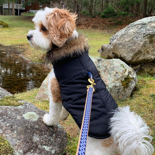 Up Country Aspen Puffer Dog Coat – Black