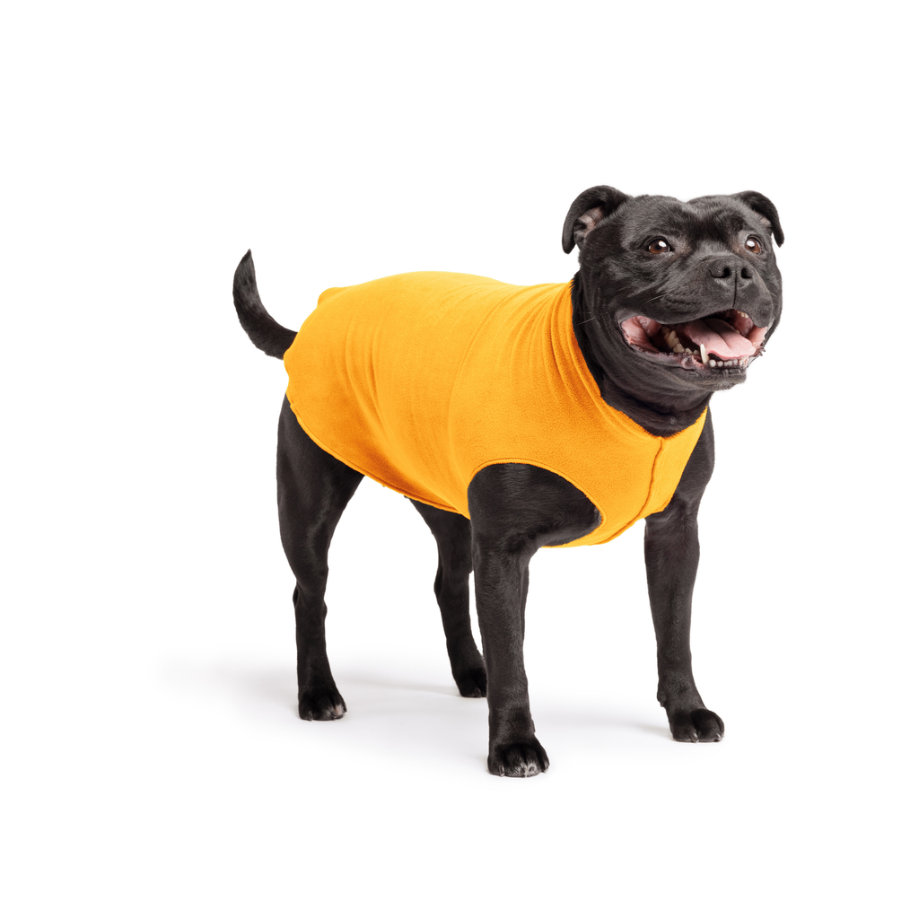 Gold Paw Stretch Fleece Dog Coat - Cheddar