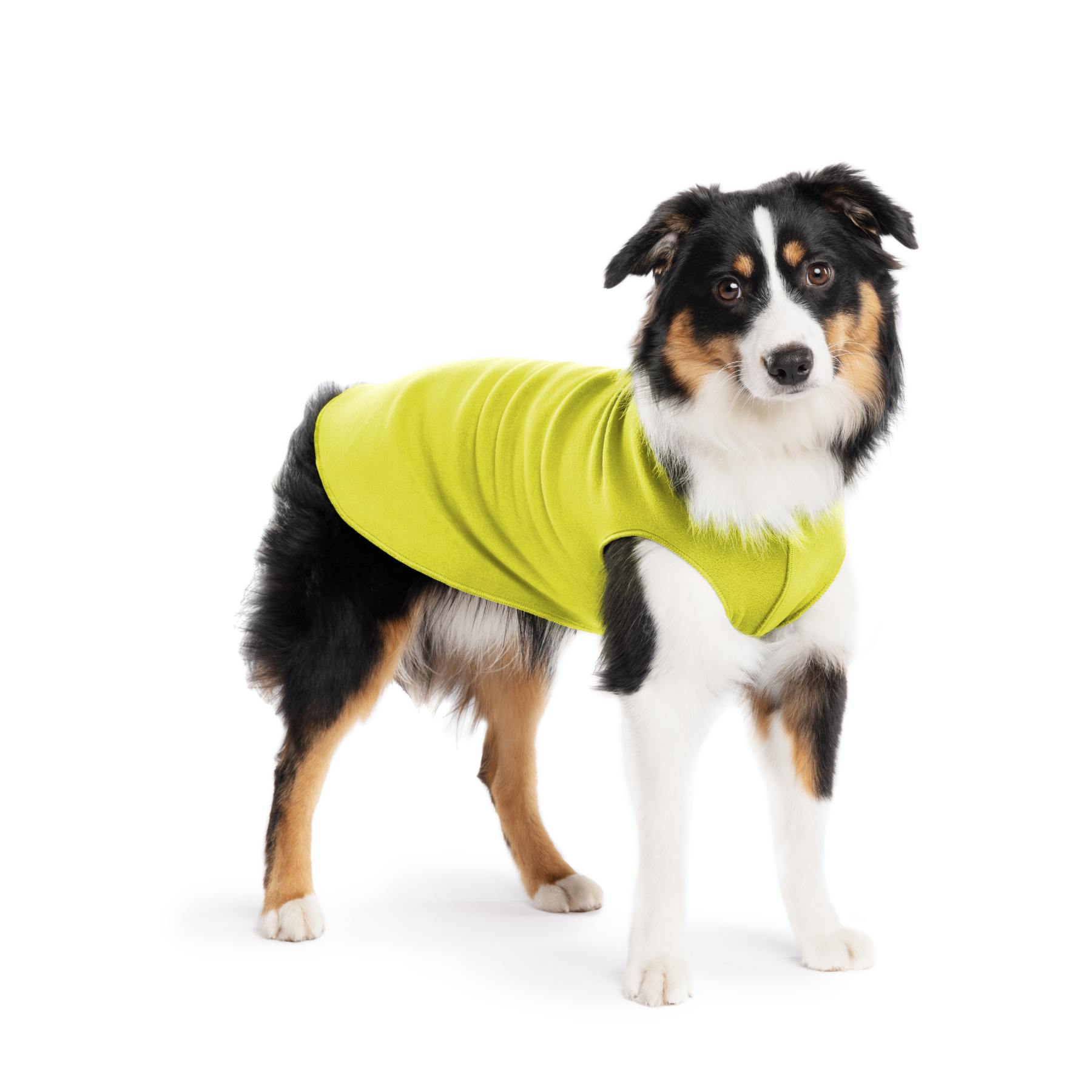 Gold Paw Stretch Fleece Dog Coat - Avocado